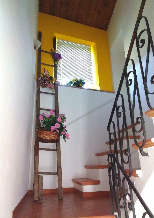 Casa Di Mamma Casa Vacanze Дженга Екстериор снимка